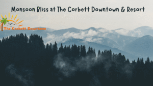 Read more about the article Monsoon Bliss at The Corbett DownTown Resort – A Rain-Drenched Escape into Nature’s Lap! 🌿